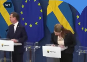 VIDEO Ministra Sănătății din Suedia a leșinat în direct, chiar în prima zi de mandat: "Nu a fost deloc o zi obișnuită de marți"