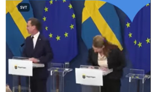 VIDEO Ministra Sănătății din Suedia a leșinat în direct, chiar în prima zi de mandat: 