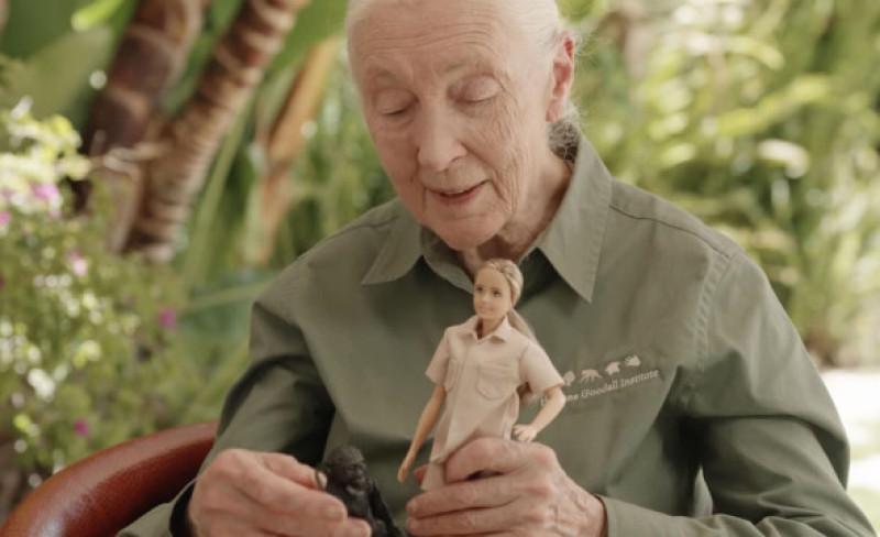 New Barbie doll made of recycled plastic pays tribute to Dr Jane Goodall