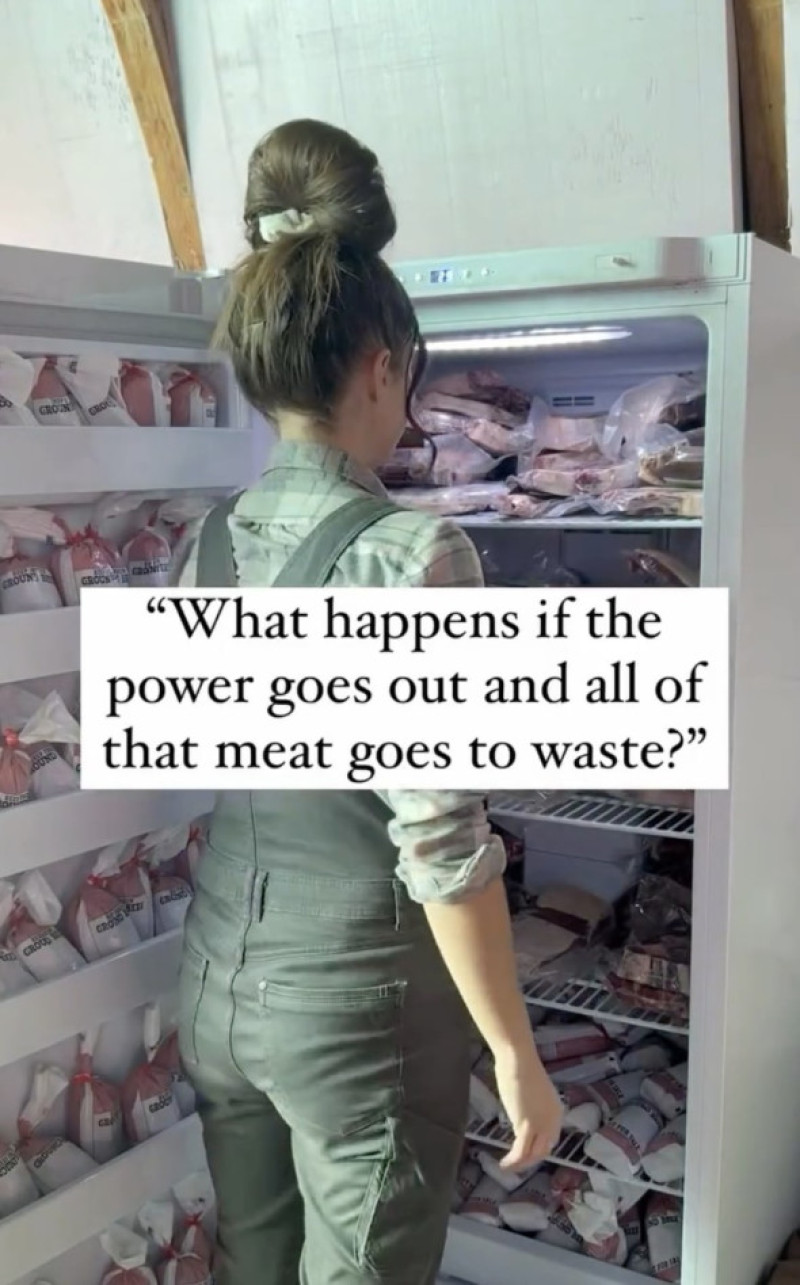 'I am a homestead stockpiler preparing for global collapse – my pantry could feed a family for 10 YEARS and I will be eating freeze-dried Christmas dinner'