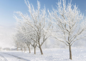 Meteorologii au actualizat prognoza. Aproape toată ţara intră sub avertizări de vremea rea până luni dimineaţă