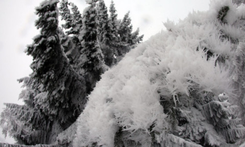 Când se încălzește vremea. Prognoza meteo pentru perioada 11-19 ianuarie