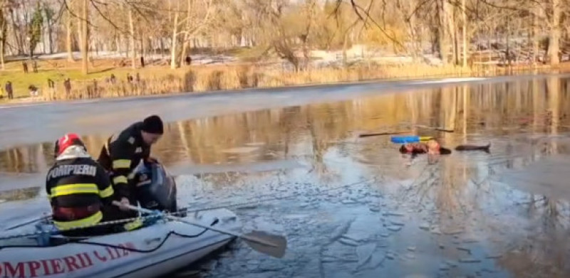 un asiatic a salvat o fetita de la inec in craiova