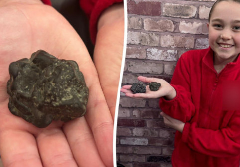O fetiță de 9 ani a descoperit pe plajă un meteorit "mai vechi decât Pământul": "Nu l-aș vinde pentru nimic în lume"