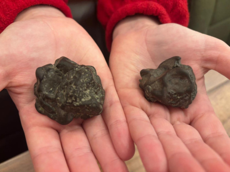 O fetiță de 9 ani a găsit o bucată de meteorit pe plajă