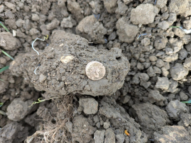 EXCLUSIVE: Brit's unexpected treasure 'buried by his ancestors' in FIELD worth Ł25,000