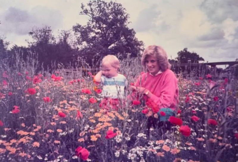 printul william si printesa diana