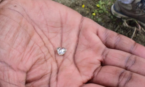 A pierdut tot ce avea mai drag, dar a găsit un diamant de 3 carate într-un parc: „M-am rugat pentru un semn”