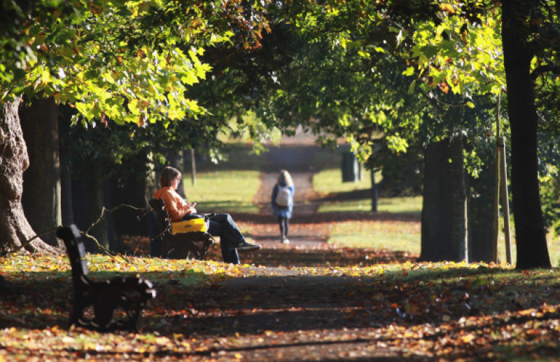 Autumn Colours Throughout The UK