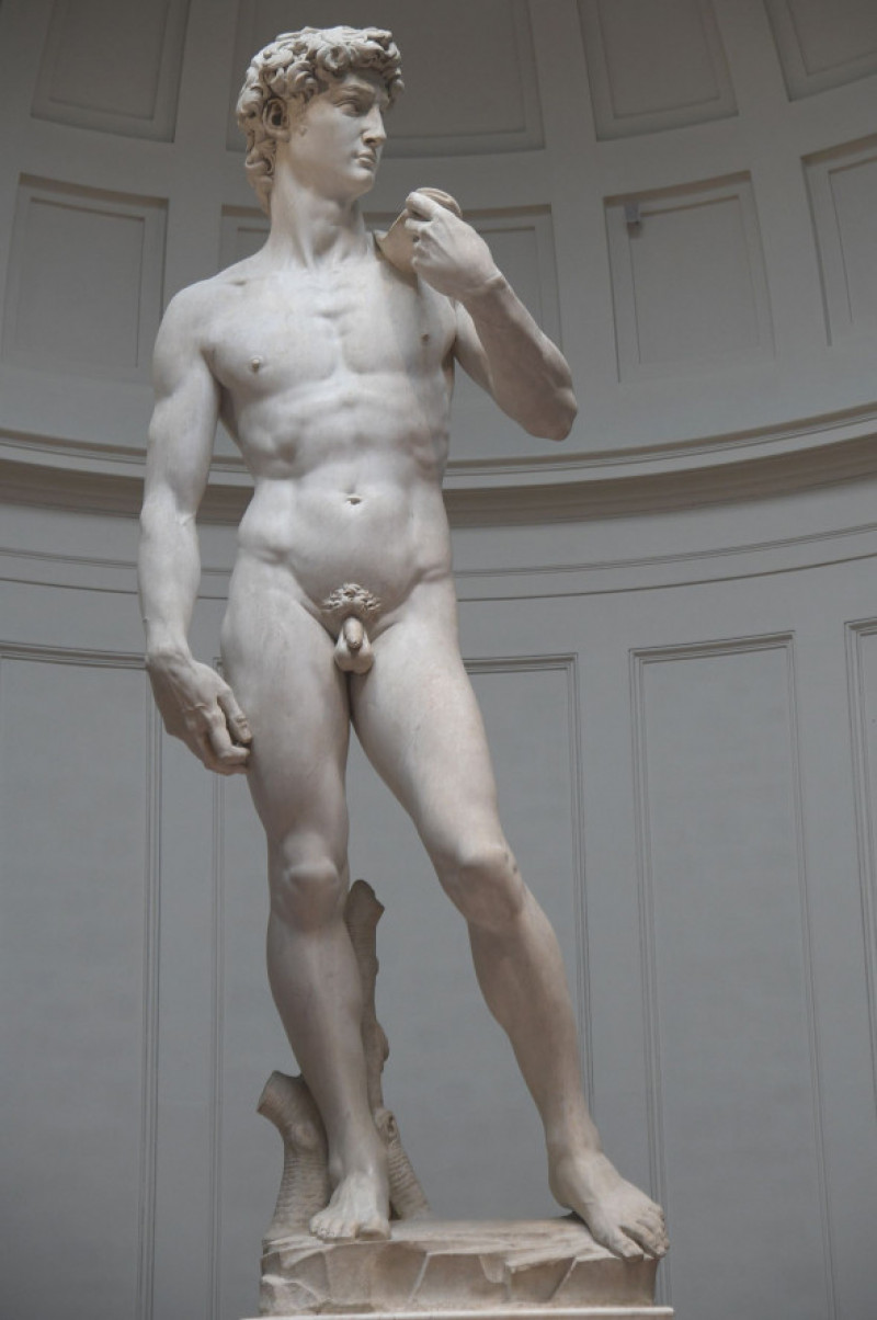 David, de Michelangelo/ Profimedia