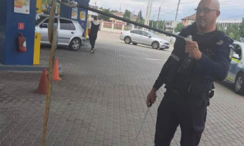 Incident bizar în Mehedinți. Un șarpe 1,5 metri a fost prins de jandarmi într-o benzinărie