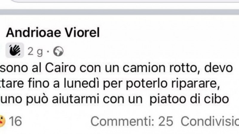 viorel sofer roman de camion italia