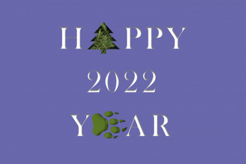 Minimalist,New,Year's,Card,2022,Color,Of,The,Year,Very