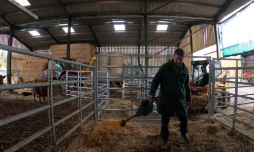 Un fermier britanic face mai mult bani din canalul lui de YouTube decât de pe urma cirezii de vaci pe care o deține. Nu i-a venit să creadă că e recompensat pentru clipurile sale