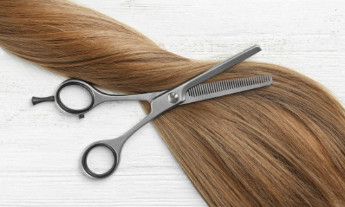 Cum este folosit părul din saloane în Belgia. Inițiativa care protejează mediul