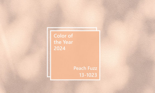 Peach Fuzz, culoarea anului 2024. Pantone o descrie ca 