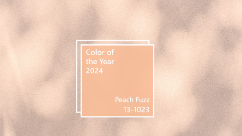 Peach Fuzz, culoarea anului 2024. Pantone o descrie ca "subtil senzuală, cordială, care comunică un mesaj de grijă și de comunitate"