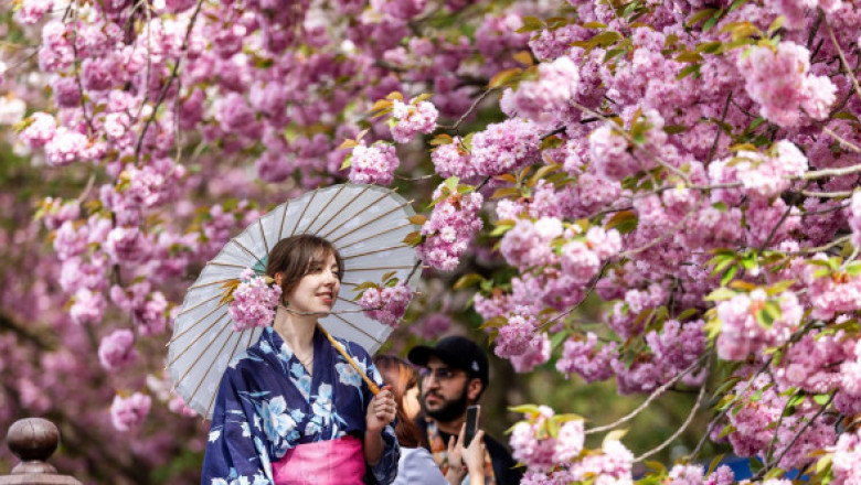 Record absolut de turiști în Japonia, în luna martie. De unde au venit cei mai mulți străini