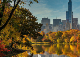 Central Park, "inima" New York-ului, colorat în nuanțele toamnei. Poze spectaculoase din parcul cu zeci de milioane de vizitatori