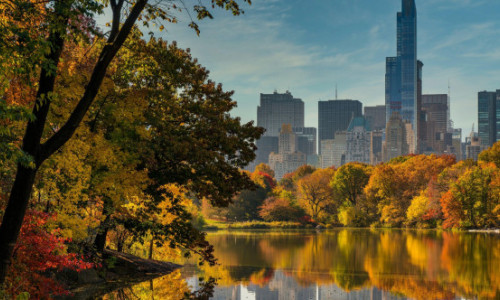 Central Park, 