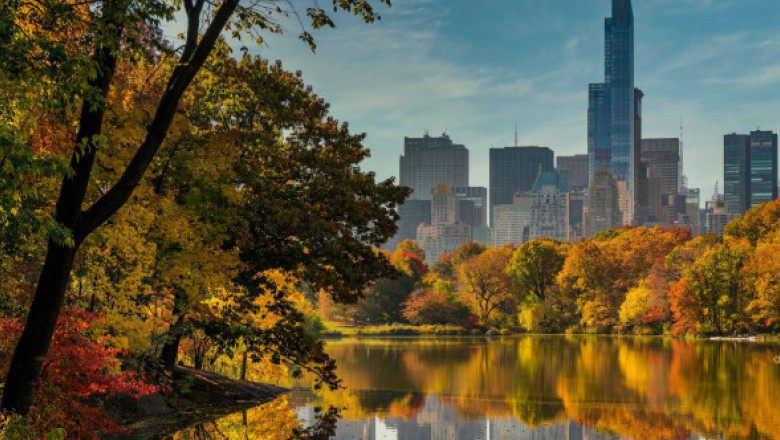 Central Park, "inima" New York-ului, colorat în nuanțele toamnei. Poze spectaculoase din parcul cu zeci de milioane de vizitatori