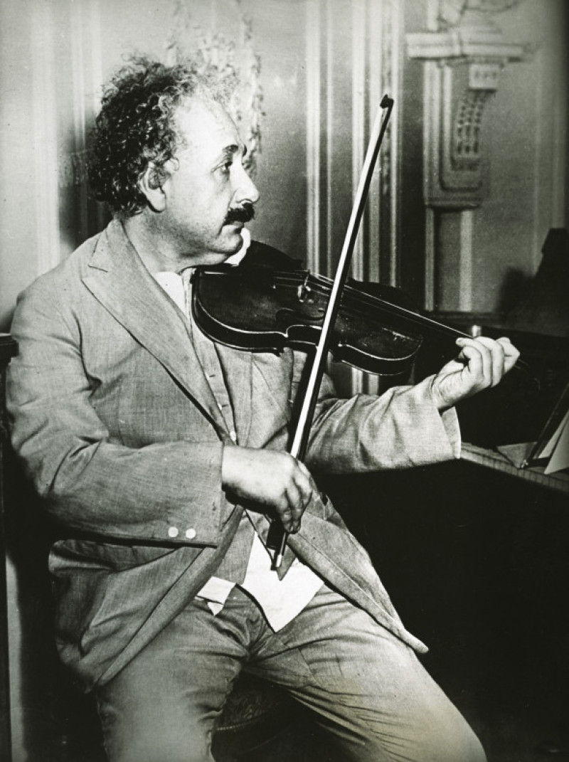vioara albert einstein