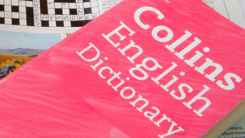 Cuvântul anului 2025. Dicţionarul Collins a ales termenul „vibe coding”