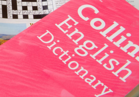 Cuvântul anului 2025. Dicţionarul Collins a ales termenul „vibe coding”