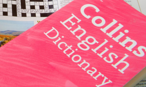 Cuvântul anului 2025. Dicţionarul Collins a ales termenul „vibe coding”