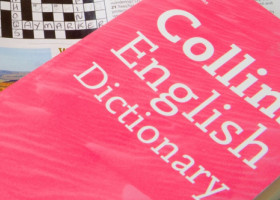 Cuvântul anului 2025. Dicţionarul Collins a ales termenul „vibe coding”