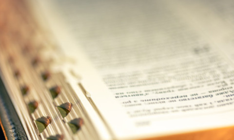 ''Masculinism'' și ''conclav'', pe lista celor mai căutate zece cuvinte în dicționarul Le Robert în 2025