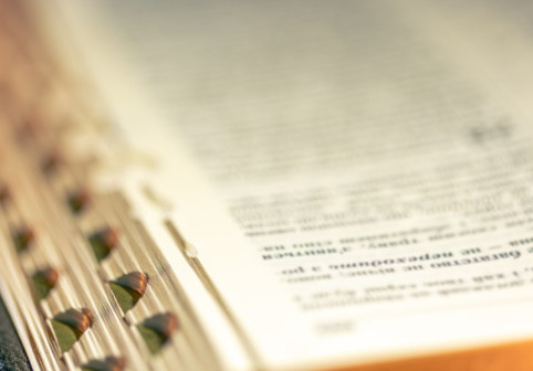 ''Masculinism'' și ''conclav'', pe lista celor mai căutate zece cuvinte în dicționarul Le Robert în 2025