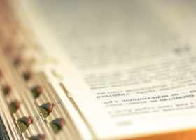 ''Masculinism'' și ''conclav'', pe lista celor mai căutate zece cuvinte în dicționarul Le Robert în 2025