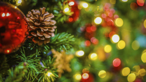 Un brad de Crăciun decorat cu obiecte pierdute, instalat într-o gară din Japonia