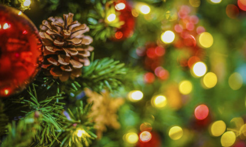 Un brad de Crăciun decorat cu obiecte pierdute, instalat într-o gară din Japonia