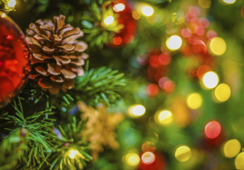 Un brad de Crăciun decorat cu obiecte pierdute, instalat într-o gară din Japonia