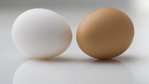 Ouale albe sau maro? Care sunt mai nutritive și ce ascunde, de fapt, coaja