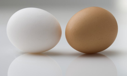 Ouale albe sau maro? Care sunt mai nutritive și ce ascunde, de fapt, coaja