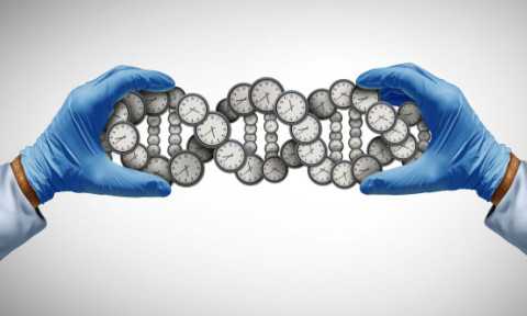 Există cu adevărat „zonele albastre” în care oamenii trăiesc mai mult? Ce arată datele ştiinţifice