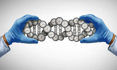 Există cu adevărat „zonele albastre” în care oamenii trăiesc mai mult? Ce arată datele ştiinţifice