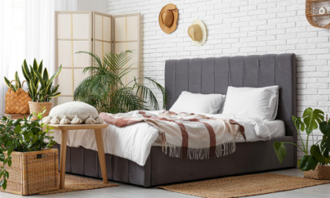 Trei plante ideale pentru dormitor. Pot îmbunătăți calitatea aerului și te pot ajuta să ai un somn mai odihnitor în fiecare noapte