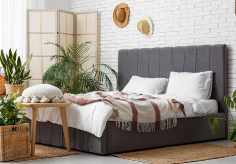 Trei plante ideale pentru dormitor. Pot îmbunătăți calitatea aerului și te pot ajuta să ai un somn mai odihnitor în fiecare noapte