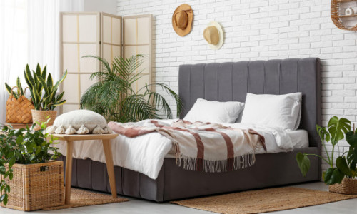 Trei plante ideale pentru dormitor. Pot îmbunătăți calitatea aerului și te pot ajuta să ai un somn mai odihnitor în fiecare noapte