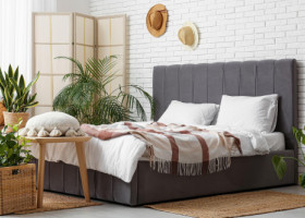 Trei plante ideale pentru dormitor. Pot îmbunătăți calitatea aerului și te pot ajuta să ai un somn mai odihnitor în fiecare noapte