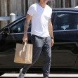 *EXCLUSIVE* Brian Austin Green gets some shopping done at Trancas Malibu