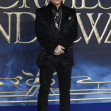 "Fantastic Beasts: The Crimes Of Grindelwald" UK Premiere - Red Carpet Arrivals