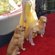 Premiere Of 20th Century Fox's "The Art Of Racing In The Rain" - Red Carpet