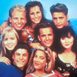 Luke Perry, Jason Priestley, Shannen Doherty, Jennie Garth, Tori Spelling, Brian Austin Green, Ian Ziering, and Gabrielle Carteris