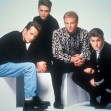 Luke Perry, Jason Priestley, Brian Austin Green, Ian Ziering