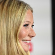 paltrow (9)